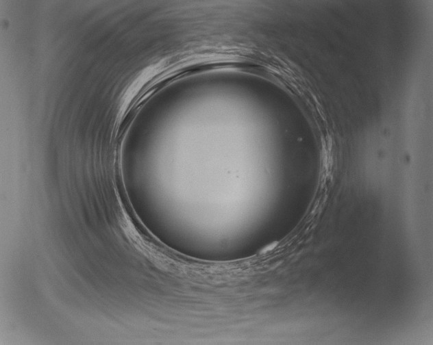 X0000052940003200507081156