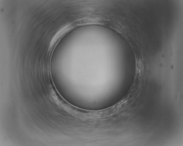 X0000052940004200507081156