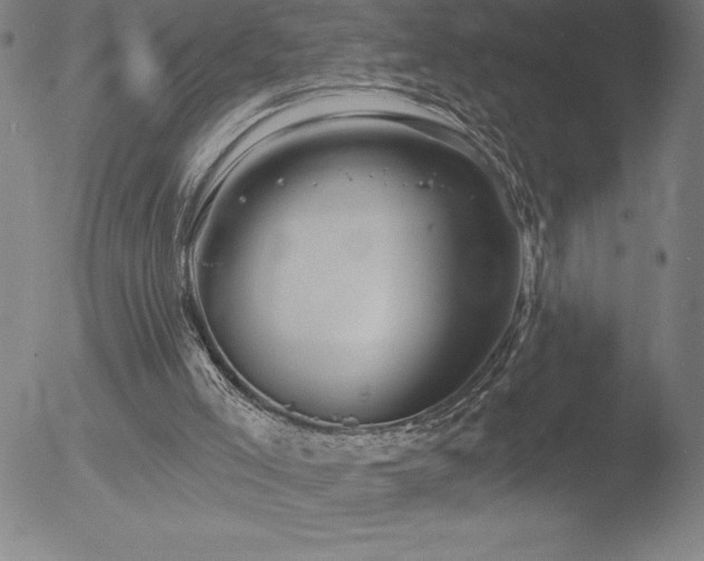 X0000052940005200507081156