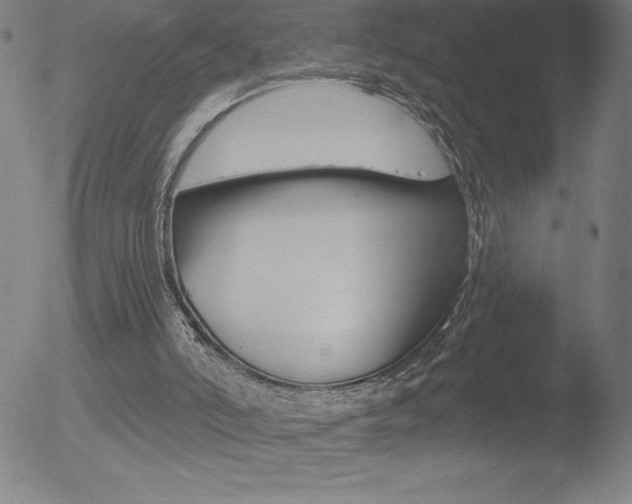 X0000052940006200507081156