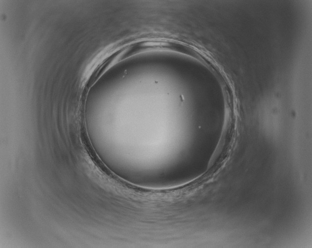 X0000052940007200507081156