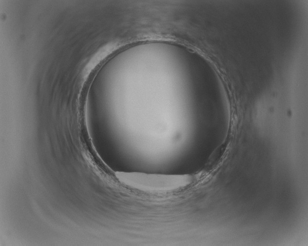 X0000052940008200507081156