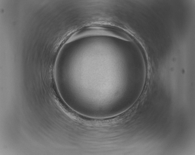 X0000052940009200507081156