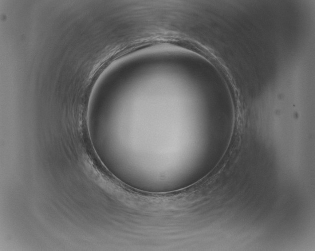 X0000052940010200507081156