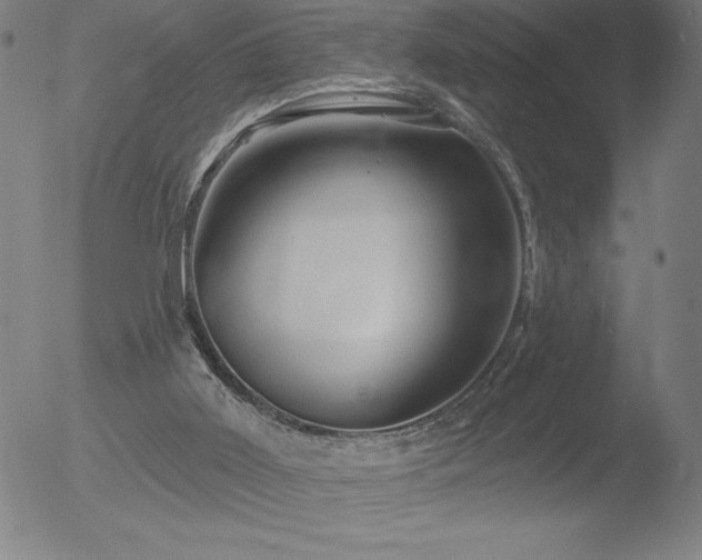 X0000052940011200507081156