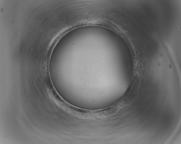 X0000052940012200507081156