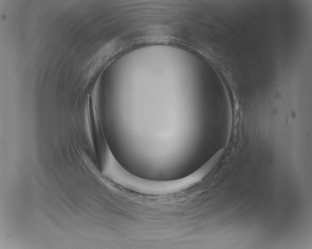 X0000052940013200507081156