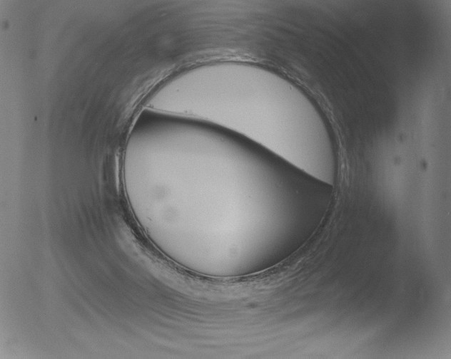 X0000052940014200507081156