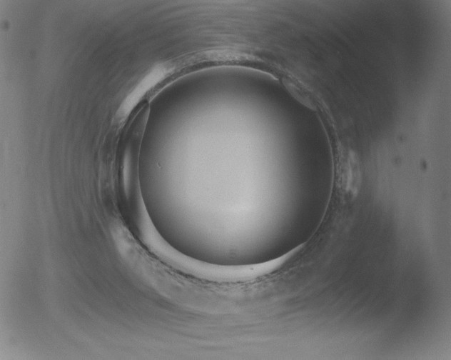 X0000052940015200507081156