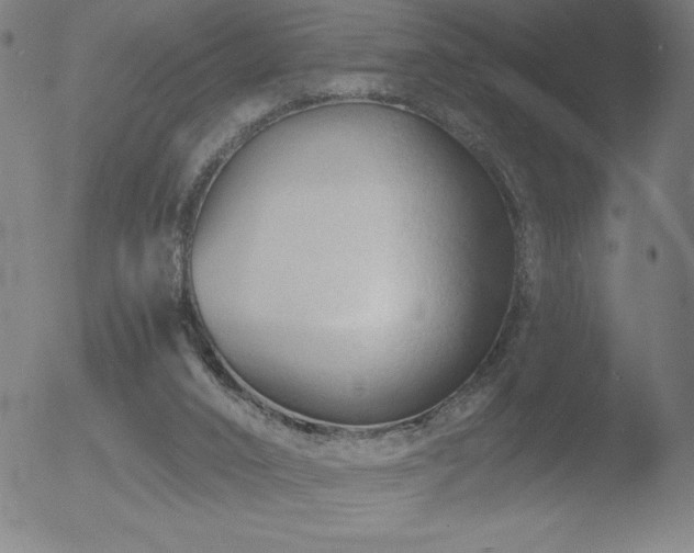 X0000052940016200507081156