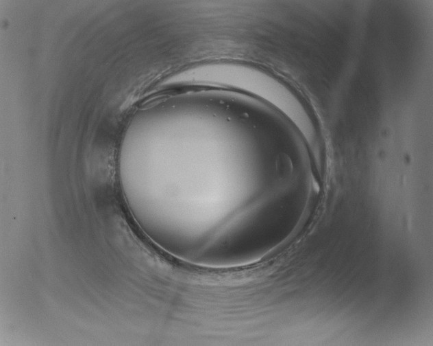 X0000052940017200507081156