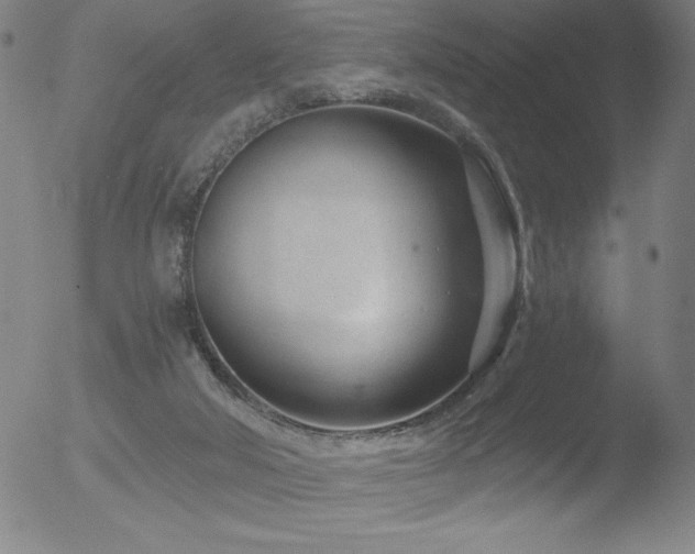 X0000052940018200507081156