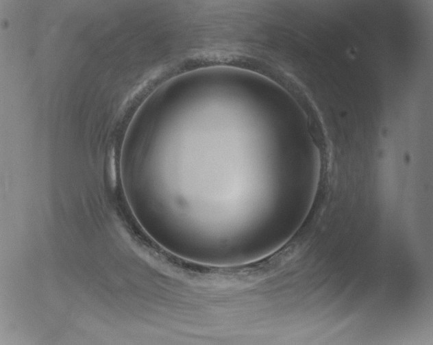 X0000052940020200507081155