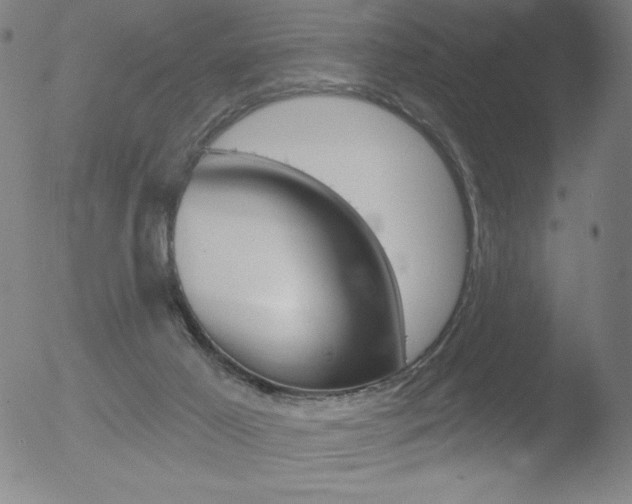 X0000052940021200507081155