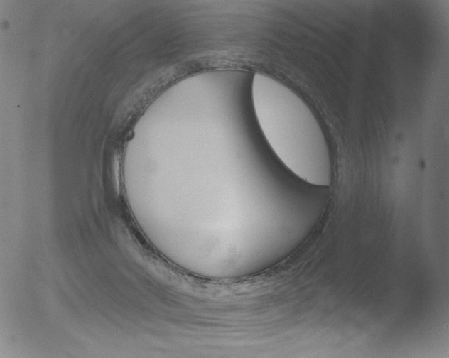 X0000052940022200507081155