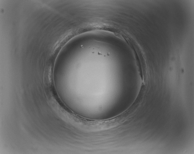 X0000052940023200507081155