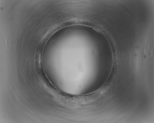 X0000052940024200507081155