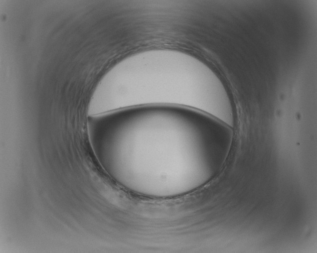 X0000052940025200507081155