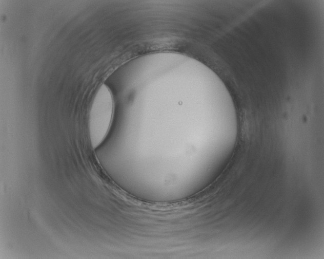 X0000052940026200507081155