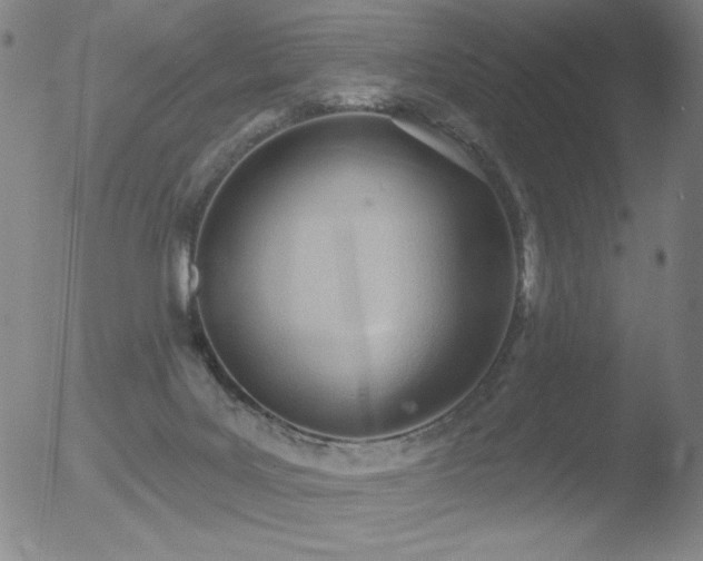 X0000052940027200507081155