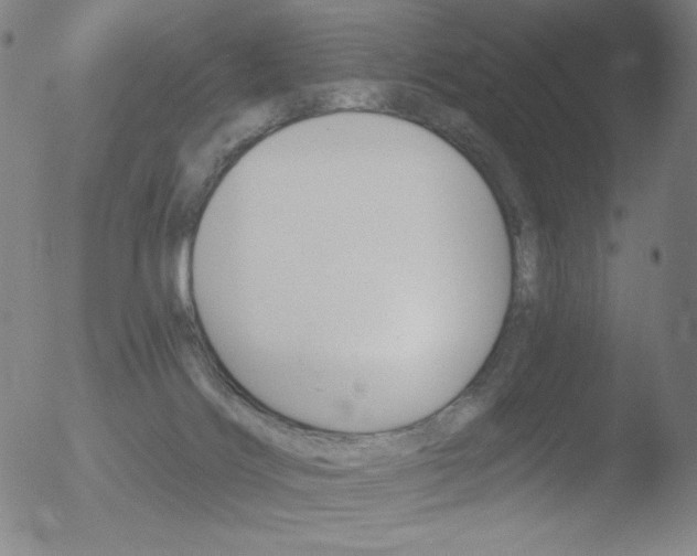 X0000052940028200507081155