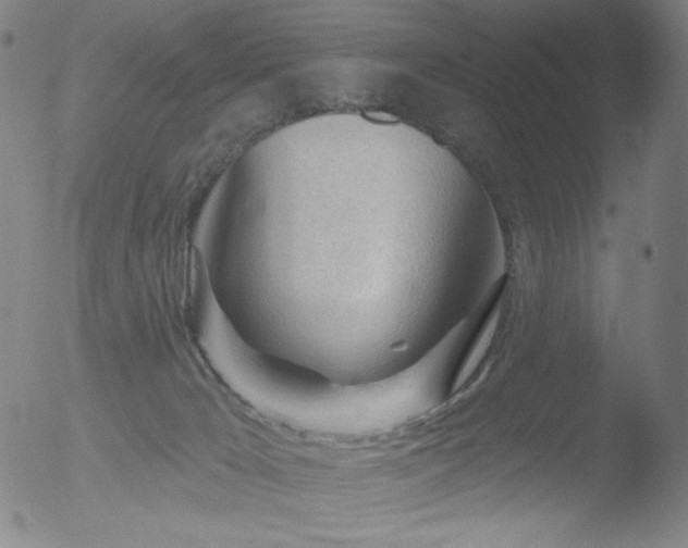 X0000052940029200507081155