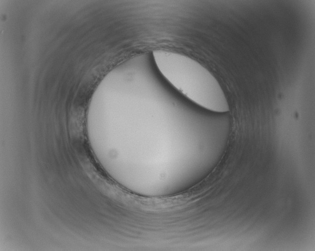 X0000052940030200507081155