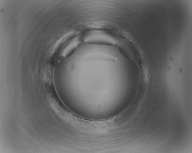 X0000052940031200507081155