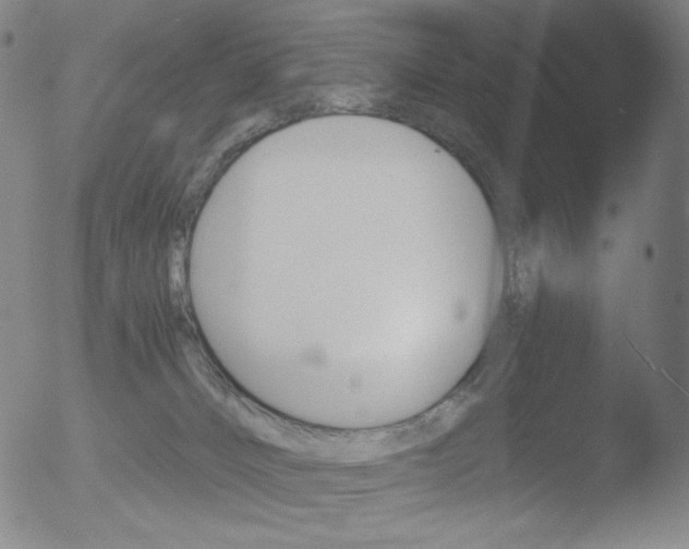 X0000052940032200507081155