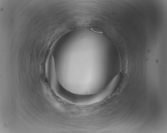 X0000052940033200507081155