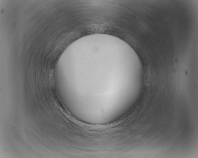 X0000052940034200507081155