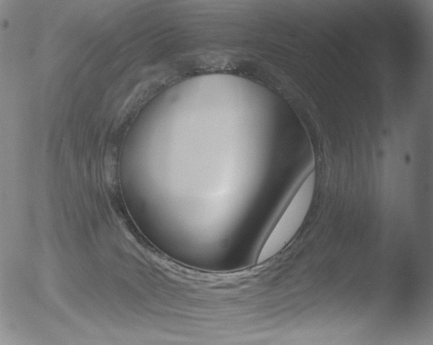 X0000052940035200507081155