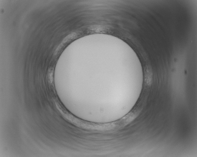 X0000052940036200507081155