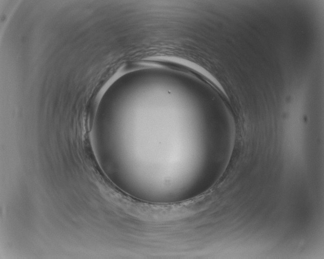 X0000052940037200507081155