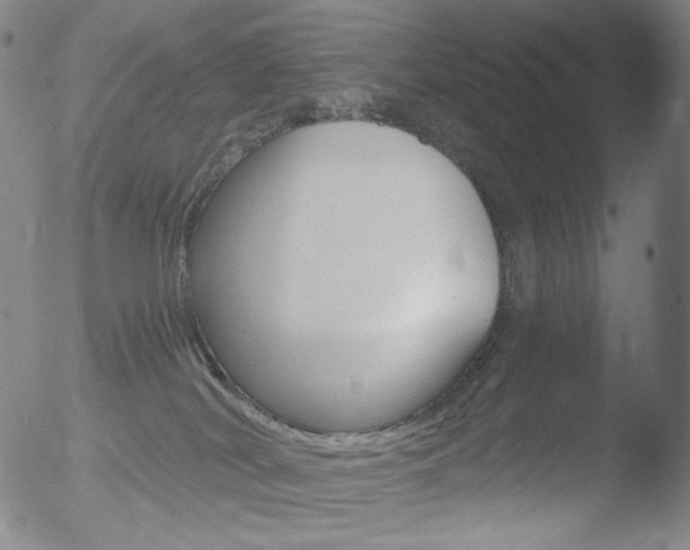 X0000052940038200507081155