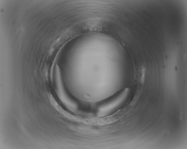 X0000052940039200507081155