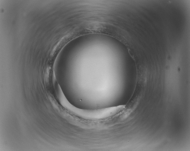 X0000052940040200507081155