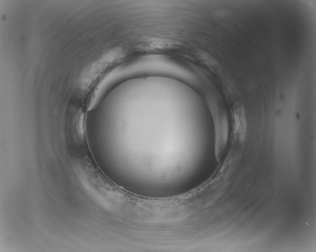 X0000052940041200507081155