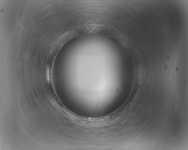 X0000052940042200507081155