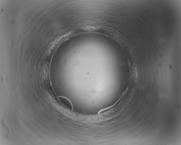 X0000052940043200507081155