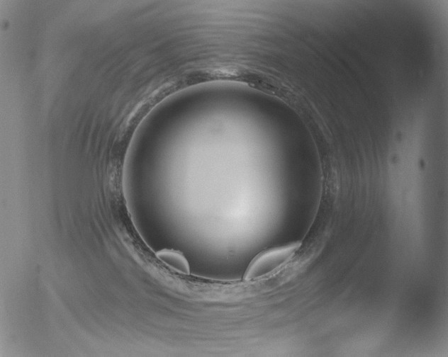 X0000052940044200507081155