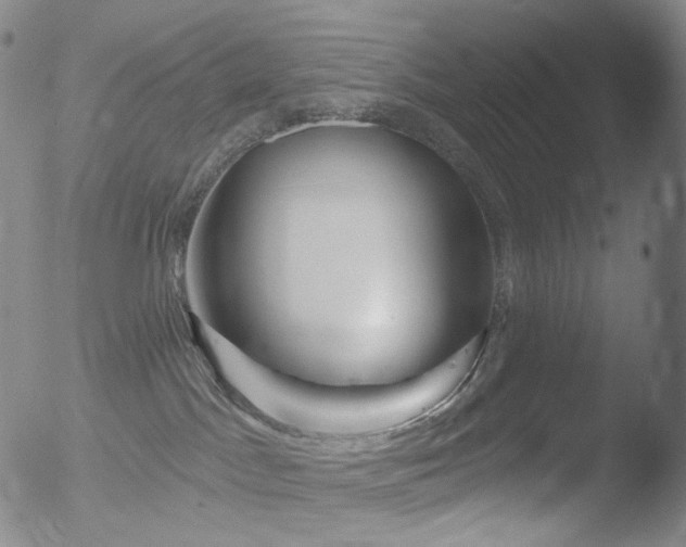 X0000052940045200507081155