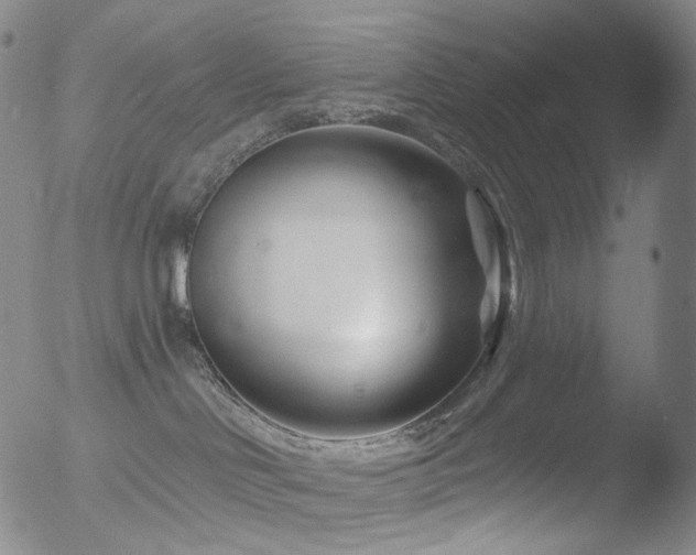 X0000052940046200507081155