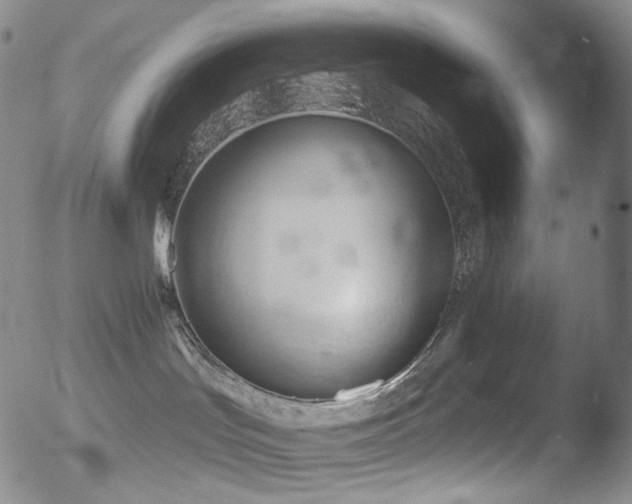 X0000052940047200507081155