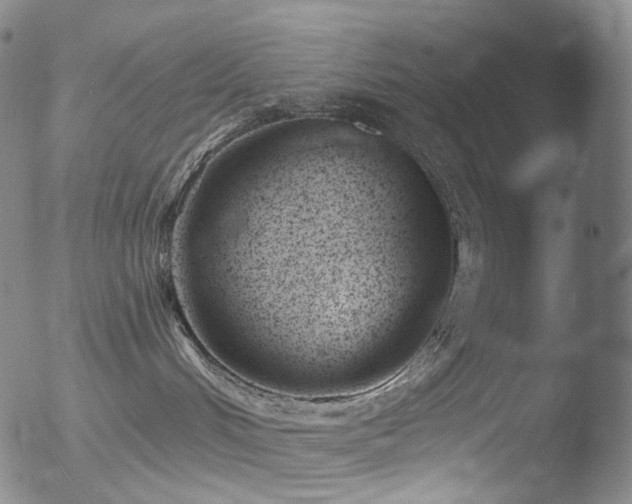 X0000052940048200507081155