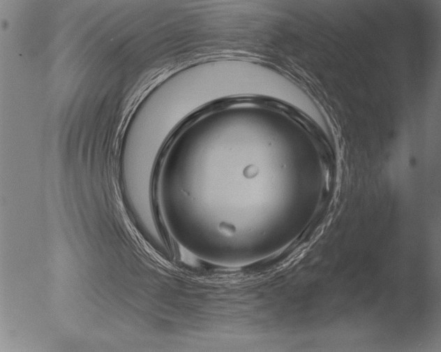 X0000052940049200507081154