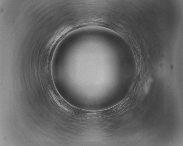 X0000052940050200507081154