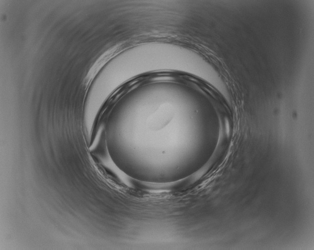 X0000052940051200507081154