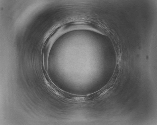 X0000052940052200507081154