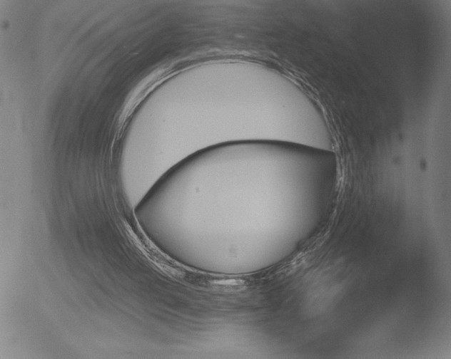 X0000052940053200507081154